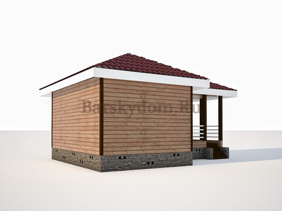 na-belom-fone-10003-4