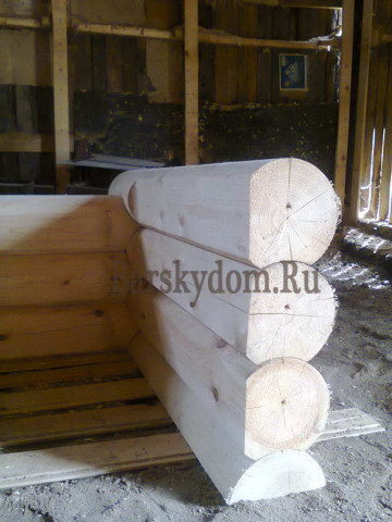 Foto0303