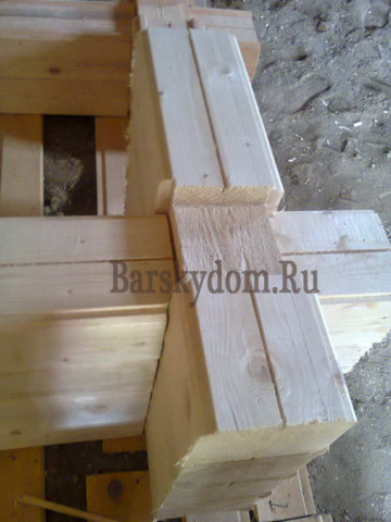 Foto0306