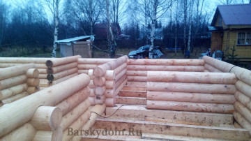 IMG-20191107-WA0006