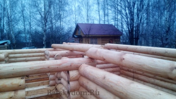 IMG-20191124-WA0023